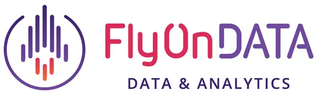 FlyOnData Data & Analytics